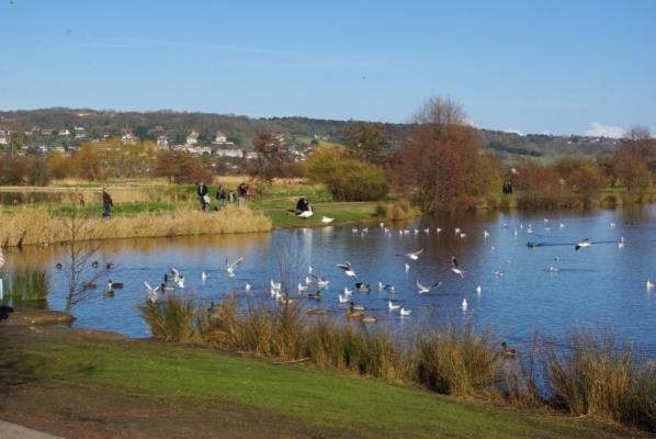 L'Eden Parc Leilighet Villers-sur-Mer Eksteriør bilde